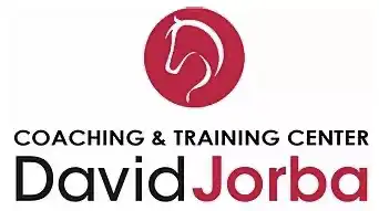 Logo David Jorba